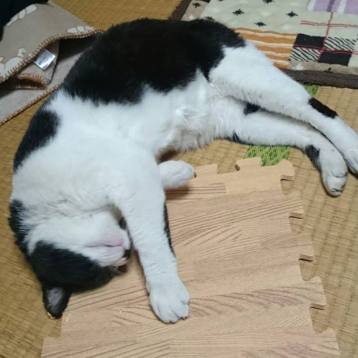 1faf34fa a655 4b8a 845b f86ae170199b 1524224826925