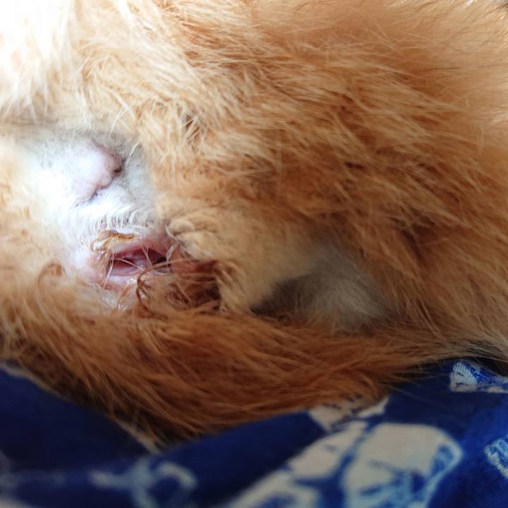 1faf40aa 68e2 424d a3f5 36dec6bd7fbc 1597983664743