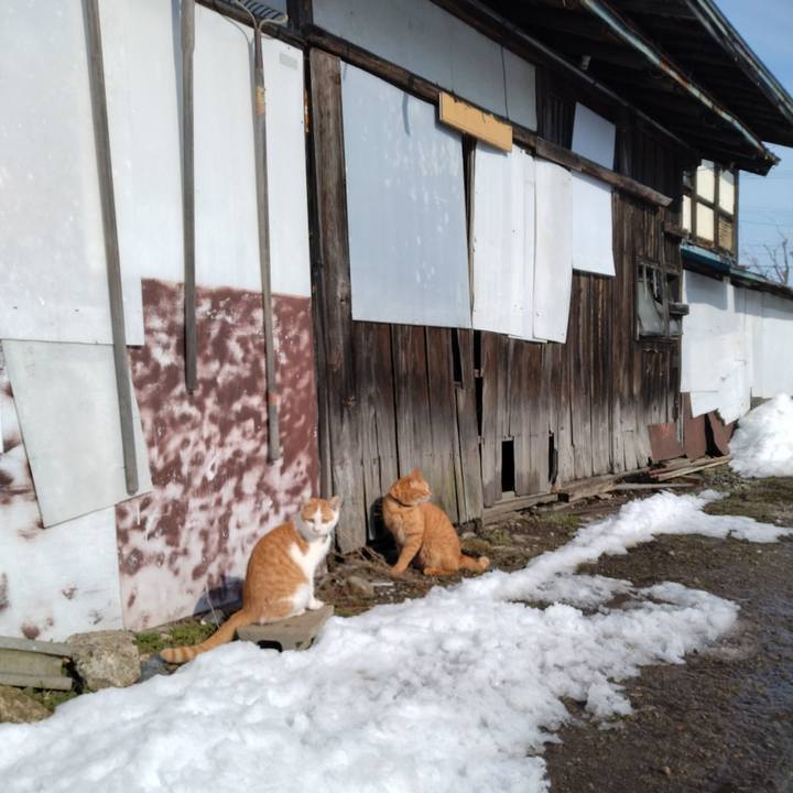 1faf59b8 b446 489c 852d 3861a593d1d2 1737346020596