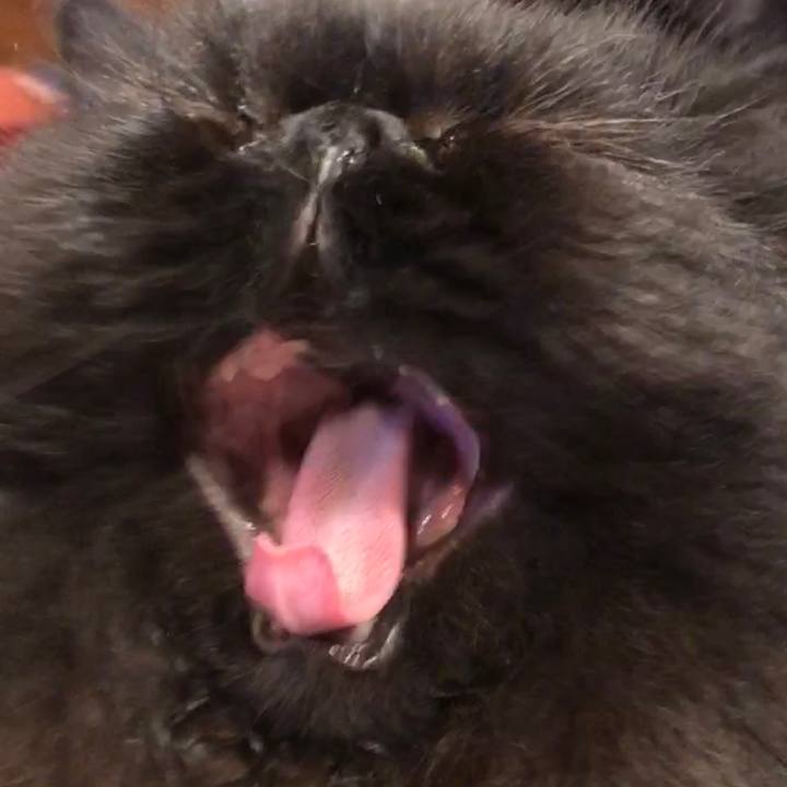 1fafa663 af42 4472 8155 e6d7cba2226a 1585833237219