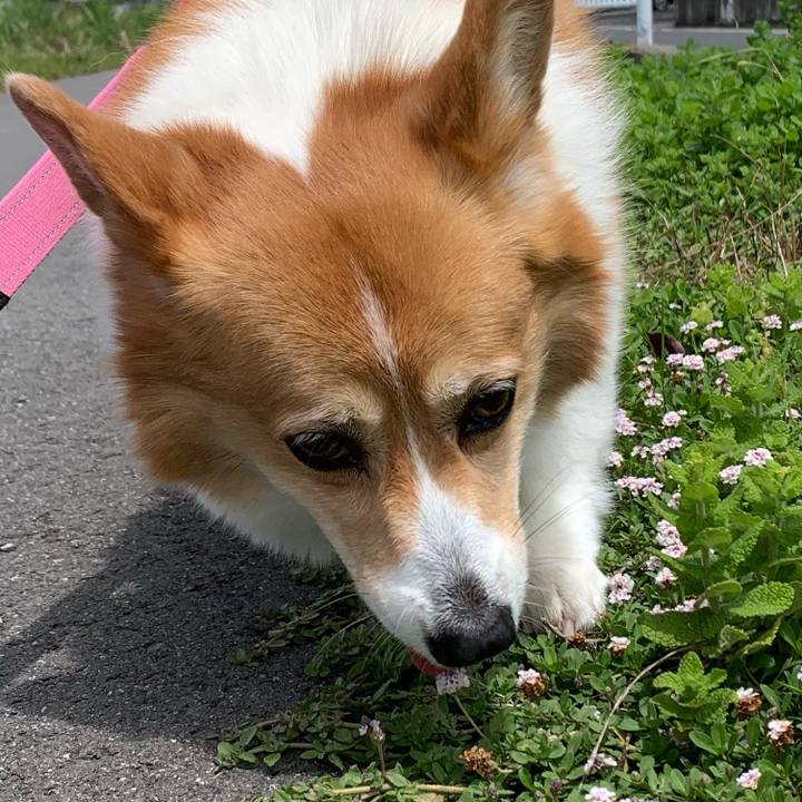 1fafe991 1c93 446e b96d 15aef9908581 1685241325262