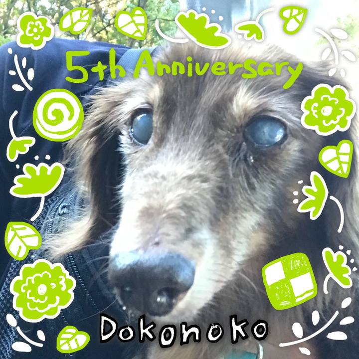 1fb00a39 0489 4db8 9fcf 4d08f19d91b2 1622876258888