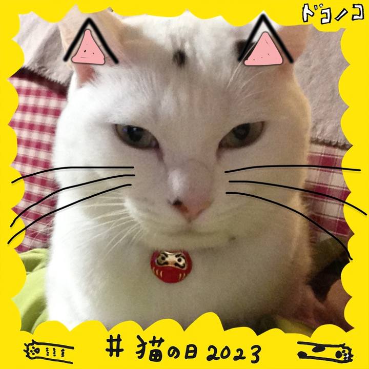 1fb012a6 5332 4edb 90a6 7f89eef59beb 1677015191838