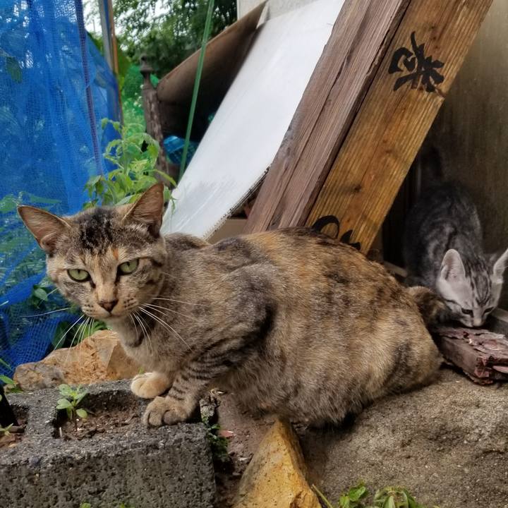 1fb03923 d170 4b10 8f7f 7e6baeccbed2 1691309666155