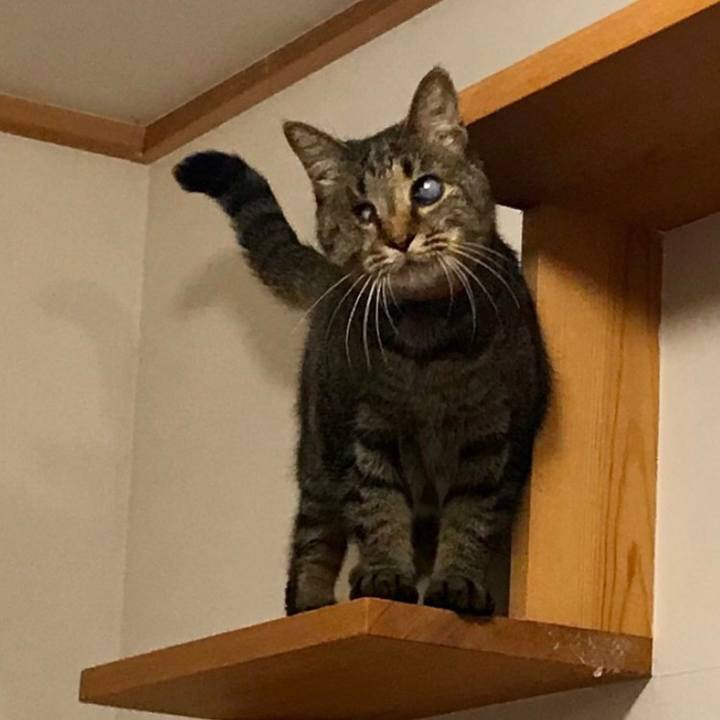 1fb04ffa d338 4f06 bd88 b9db791f3b97 1687698307689