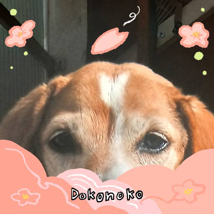 1fb0a011 4ba9 48e8 ac7c 1ff519323c0b 1775442810677