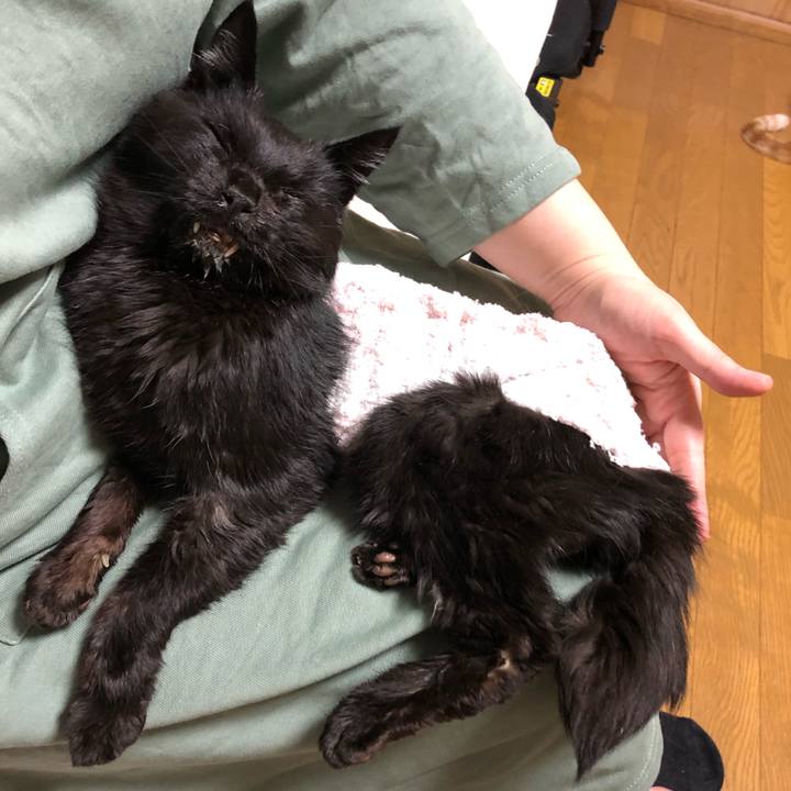 1fb0a154 3b7d 48ae b942 a219a4dd740c 1646909525255