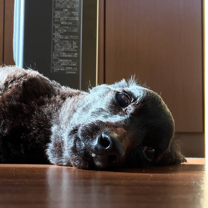 1fb0ddbc 11ed 4581 aa78 b8be8da77de5 1545693182644