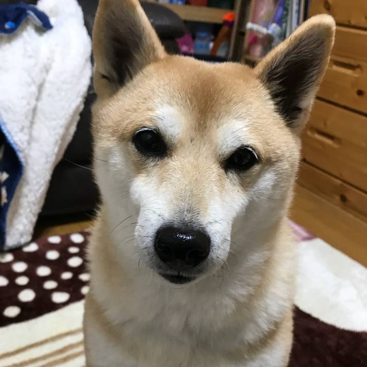 1fb0eeaf 3605 4e7f 9b45 1bb3154a784d 1517795000750