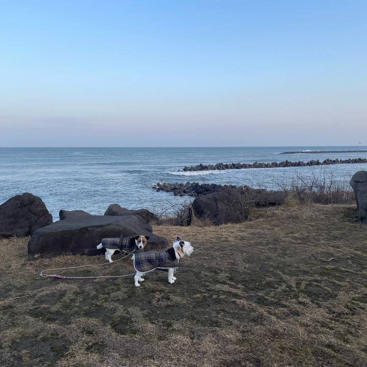 1fb0eeed 3dfb 4914 86d0 c7dd50306db8 1768606341724