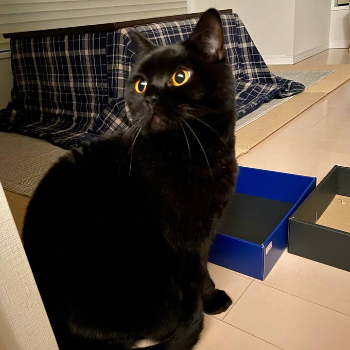 1fb12d3a 66f6 446b b2f1 0cc7ffb7cfba 1647606913000