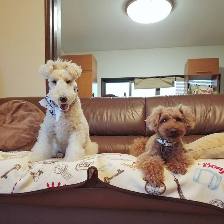 1fb14c2d 5ed8 47a0 9d67 ebb2fdd3cebe 1508637741280