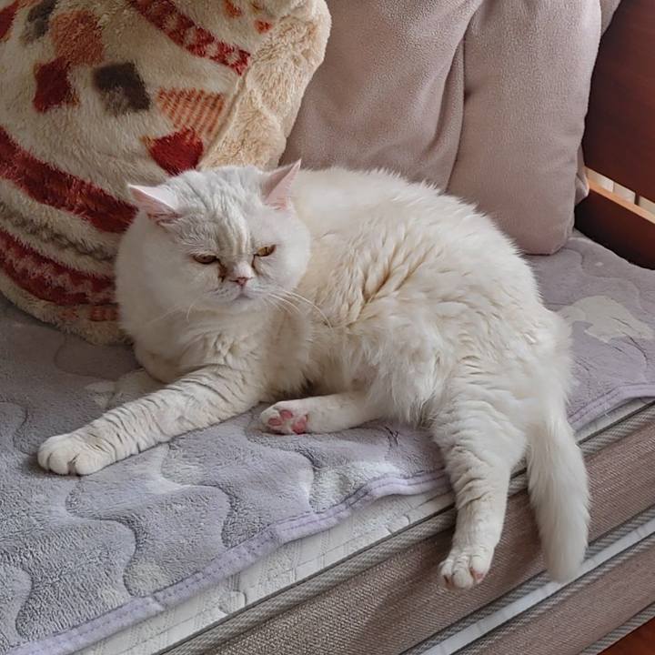 1fb15caa ea85 480d 844b 22accdb7b46a 1769875757005