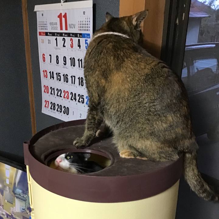 1fb165d0 896c 4c3d a2ad cff6b7f3d20e 1669715736262