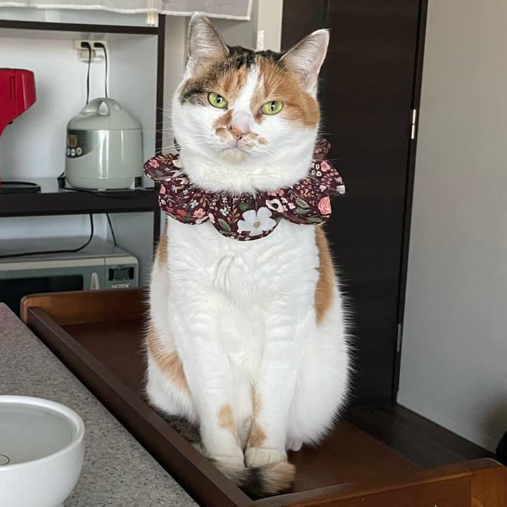 1fb1980a 37a0 437e b757 01cf5b7fbd43 1737070459787