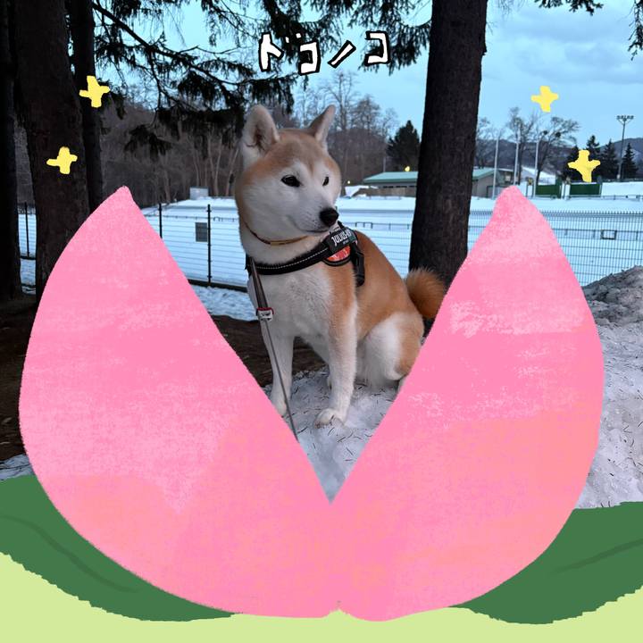 1fb19904 c056 4ae4 9b1f 28b76e0f76c9 1772435604842