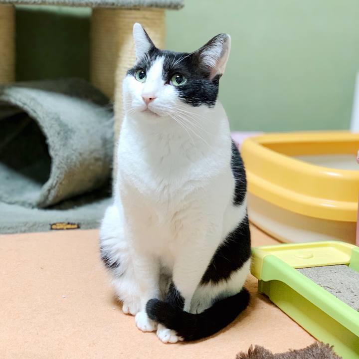 1fb1aeb6 2a60 4761 ab91 13b4cf042b36 1553739152447