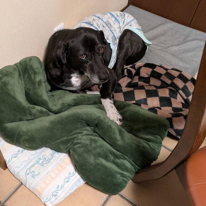 1fb1e444 6c04 4301 a9eb 1cc399e3247c 1741385106557