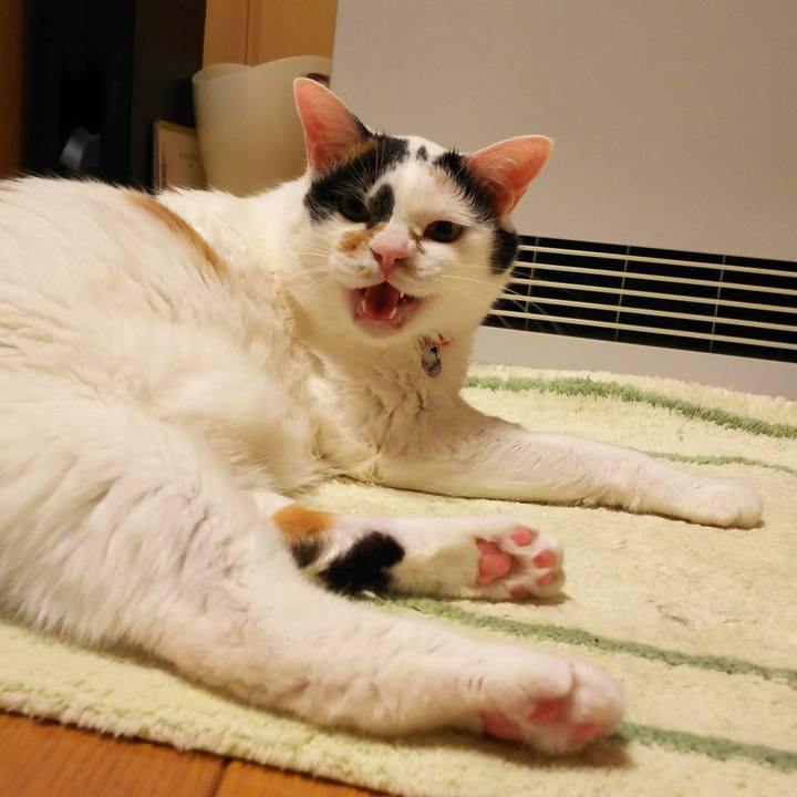 1fb1f85f df67 484c 8172 92c19b7482d2 1516966133510