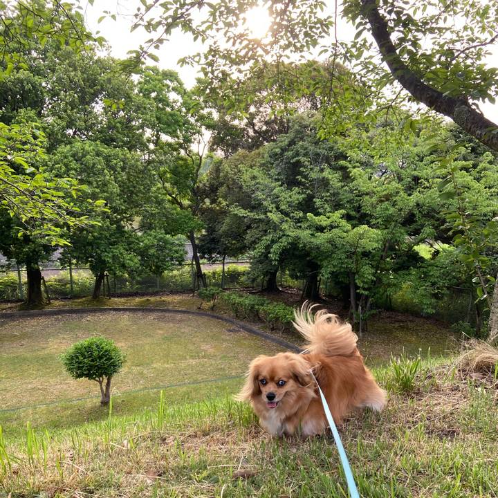 1fb20153 d269 4d2b 8528 3bb4d84f4138 1591653672094