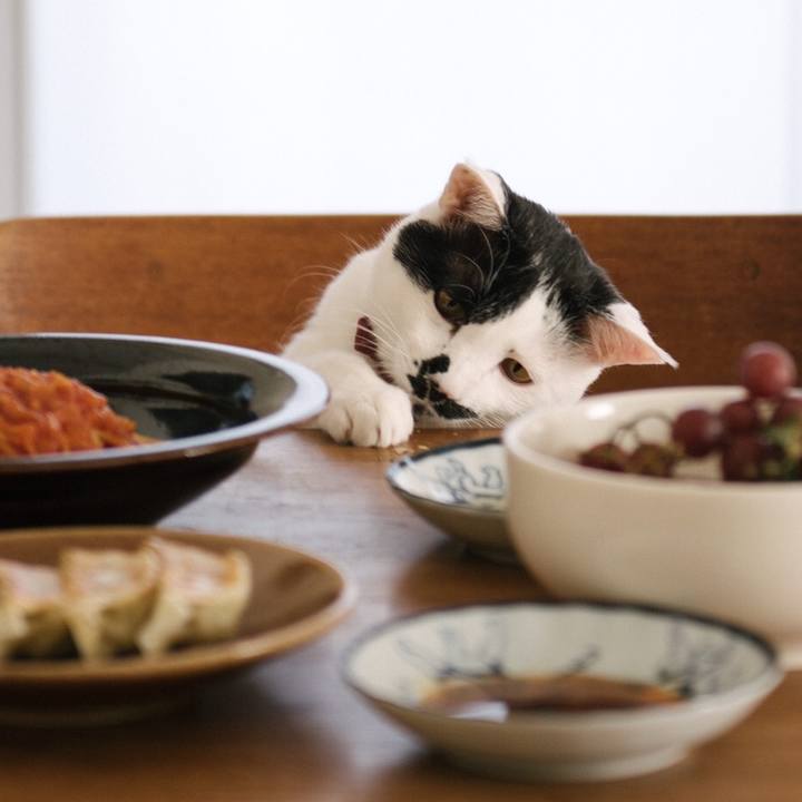 1fb22675 4dce 4f35 a19d 564e79ef89fe 1549410243490