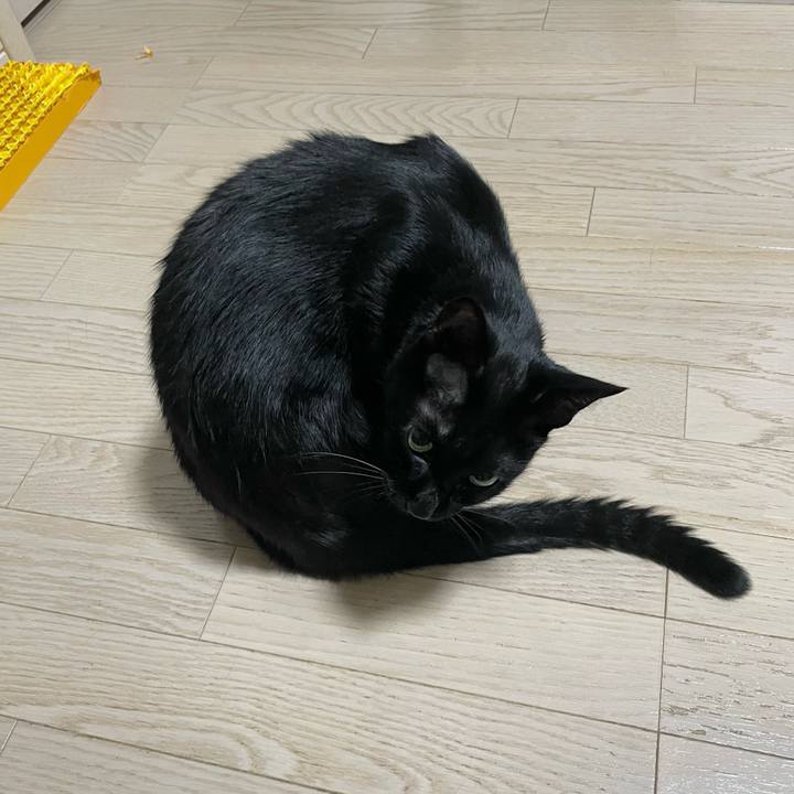 1fb230b3 2269 45df 9caf ab99e5d73115 1727961235894