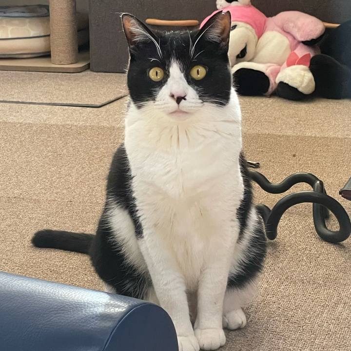 1fb2a02d d44d 4fb1 81df 80f3bff1dd21 1739567130463