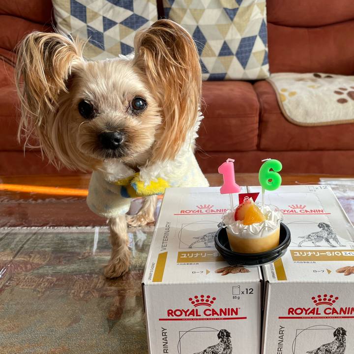 1fb33a27 c504 4451 81c2 7fb116a97412 1641975180667