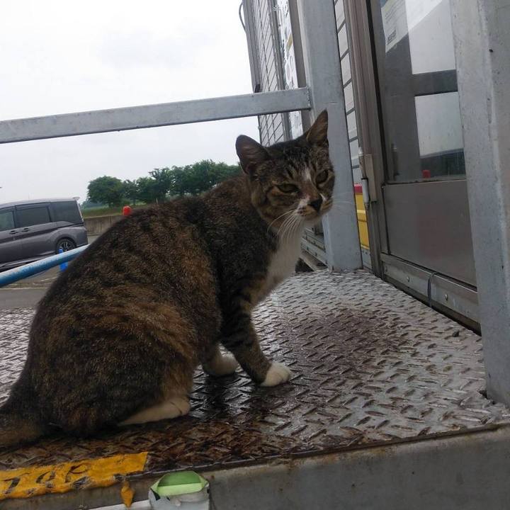 1fb3704c b1a6 4965 9fe7 b072c741d010 1593474183928