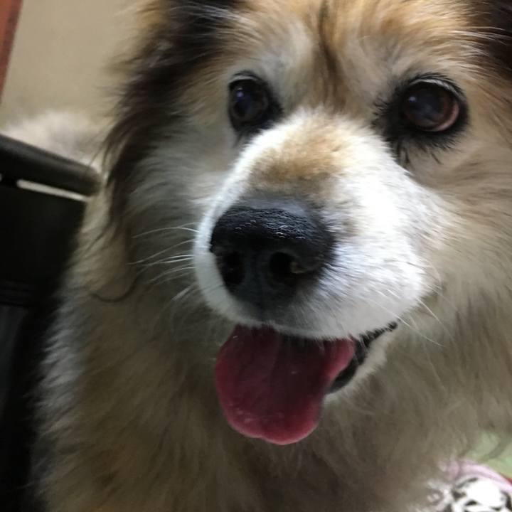 1fb38519 3321 44b8 a147 80be73a113e1 1597575269502