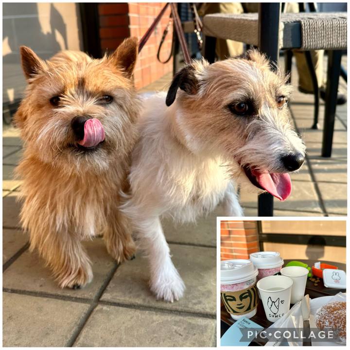 1fb3e231 e5fe 4e89 870f 6ff9d42be43a 1742763908403