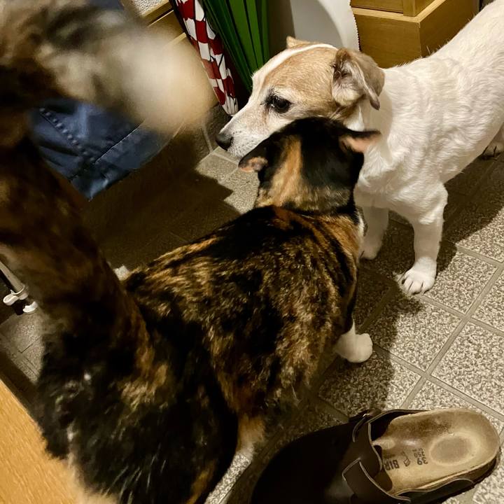 1fb47776 8e70 43ad 9aca e0e6cc94c5aa 1719238114010