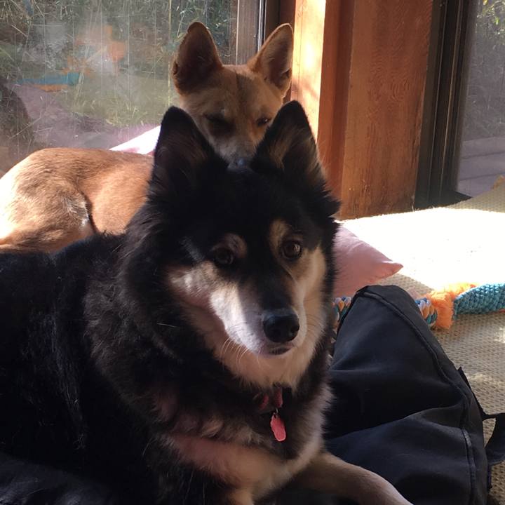 1fb4d77c 1b2f 4f56 92c0 ac495e331018 1513072682051