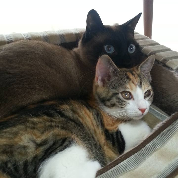 1fb4e18e 5376 4ba5 9ae8 944787d49e4c 1522019068900