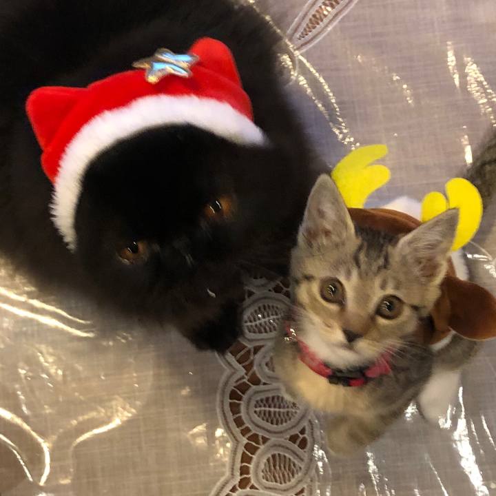 1fb4f510 52a5 4370 b5db 95bded09a93d 1544359157145