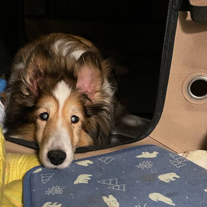 1fb5220c 68ef 4a53 8a04 5d0f662a3e96 1629714194350