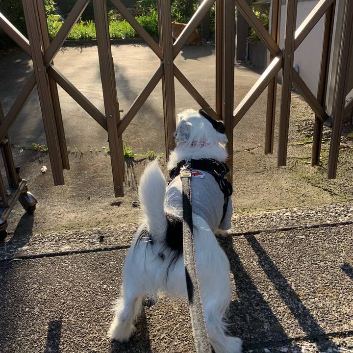 1fb5300f 3cf2 4d2c 9a0b 353ab53c560d 1557320844924