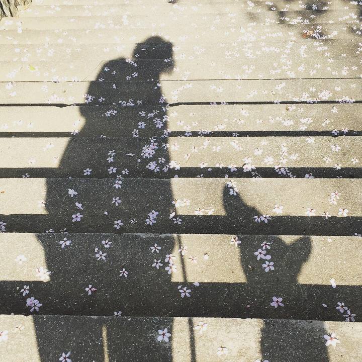 1fb596d0 976f 48de 81d9 51093356c049 1522462987578