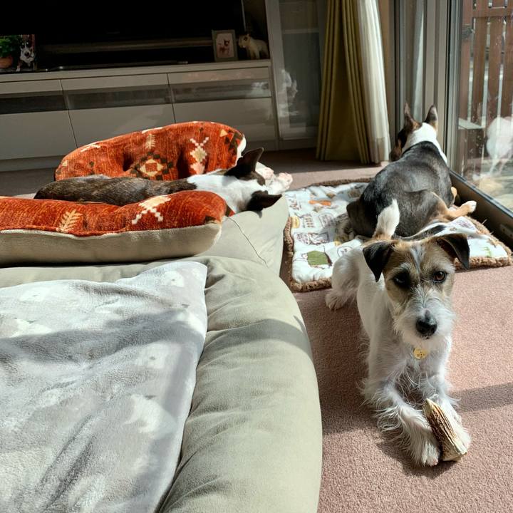 1fb5aef5 23a1 48aa abaa 2504636b76ba 1613272804462