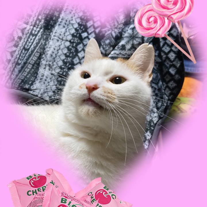 1fb5b1ed 1213 44c5 b330 526bd8edb40f 1676377929767