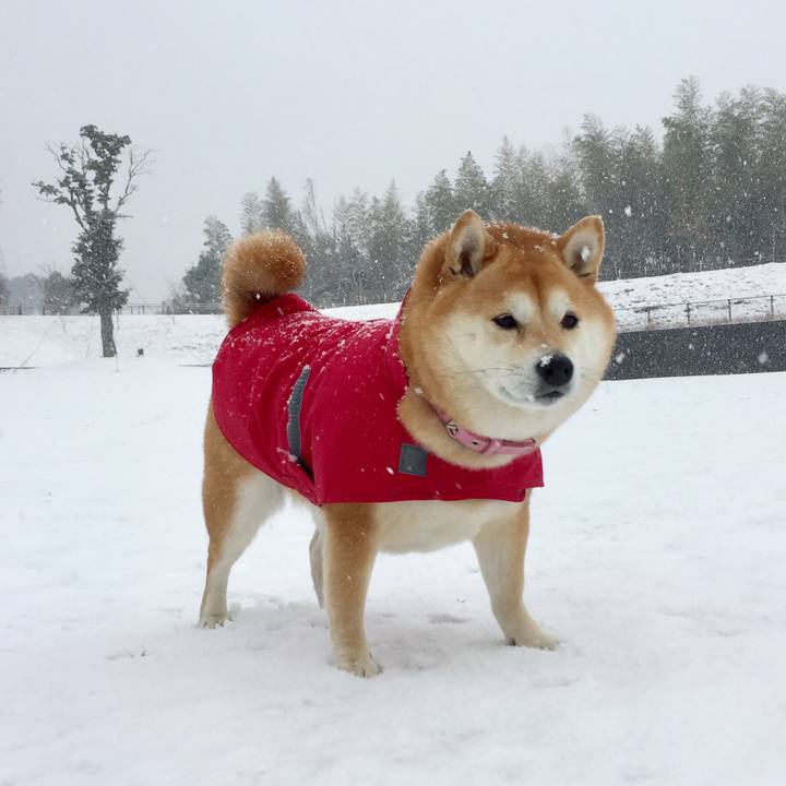 1fb5f4d5 8218 4d5a b438 b5eb44b22aff 1549687271179