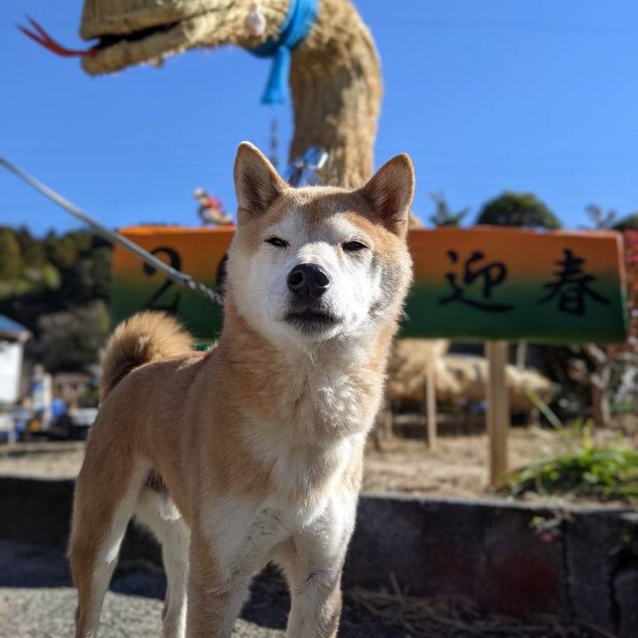 1fb604f5 56bc 4b6a abe8 1a0dbc459e74 1736114285579