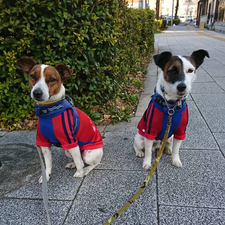 1fb60b97 1d58 4b64 87ed 33eddc0ec26e 1613171026217