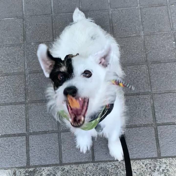 1fb618a7 66b6 4d92 97ba 69d0b5f669ed 1722677302601