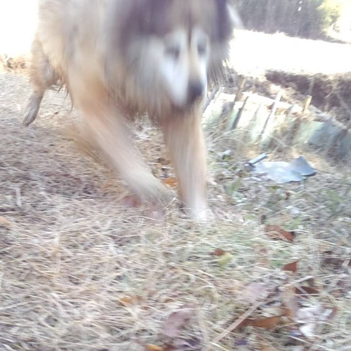 1fb62b5f 7e5f 4292 bf16 60712eaaddd2 1588432000612