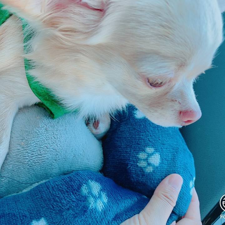 1fb68a7f 7f4e 4f9f bbcb adedc6103c69 1632135432669