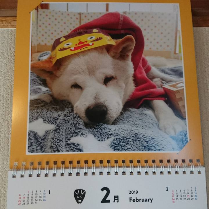 1fb69455 6ec5 4513 8e89 9bd5d84a802f 1549494885283