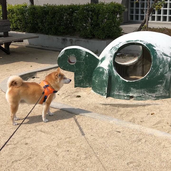 1fb6f519 27b6 4516 b4bf ee7631df9b21 1553652810310