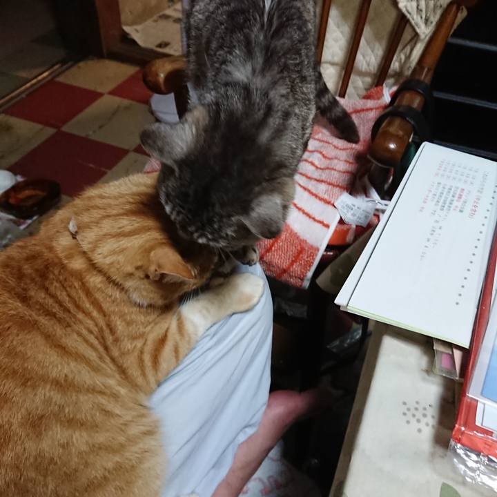 1fb70120 e911 445c aade d5f0b9a21881 1592996002597