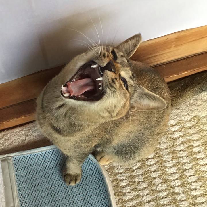 1fb7272e c5ca 4ec9 b669 363a94ba2dd4 1575087827471